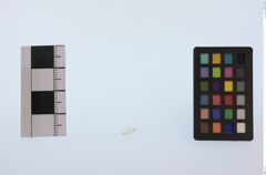 Foto von Diamant (NHMW-MIN-Ab3055)